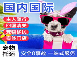 长春龙嘉空运国际宠物托运 【国
